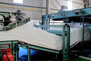 Hải Phòng: Bùng nhùng tranh chấp dây chuyền sản xuất trị giá gần 500 nghìn USD