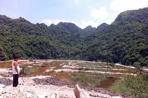 Cát Hải (Hải Phòng): Đang chờ ủy quyền của UBND TP