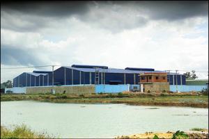 Chính quyền huyện Đức Hòa bất lực hay “chống lưng” cho sai phạm?