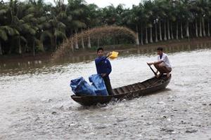 Báo động trộn hóa chất trong thức ăn chăn nuôi