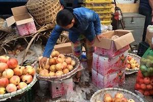 Tám loại hoa quả Trung Quốc nhập về Việt Nam nhiều nhất