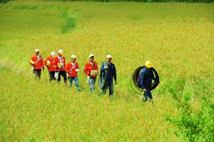 Liên doanh Viettel tại Lào cán mốc 1 tỷ USD 