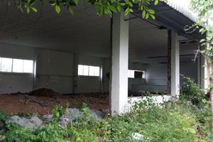 Bao giờ Trung tâm Châm cứu An Dưỡng Quốc Lâm đi vào hoạt động?