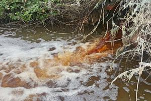 Các công ty xả thải sẽ bị xử phạt hơn 1 tỷ đồng