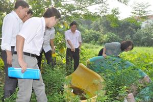 Tăng cường phòng, chống sốt xuất huyết và bệnh do vi rút Zika
