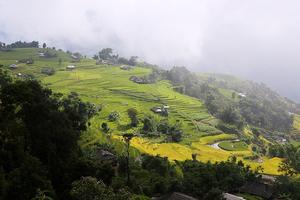 Mùa vàng nơi tận cùng cực Bắc