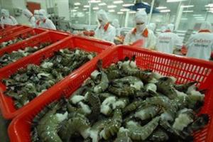 Dự kiến xuất khẩu tôm đạt trên 3 tỷ đô la Mỹ