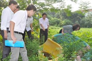 Phát động chiến dịch phòng, chống sốt xuất huyết và vi rút Zika