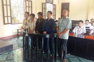 Tổng Giám đốc bặt vô âm tín, người làm thuê lĩnh án phá rừng