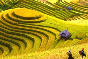 Sẽ phát hành bộ tem “Năm du lịch quốc gia 2017 - Lào Cai - Tây Bắc”  