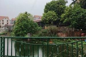 Yêu cầu xử lý dứt diểm hành vi lấn chiếm ao Quan Viên