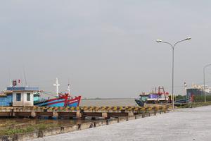 Thanh tra Dự án khu neo đậu tránh bão trên sông Soài Rạp