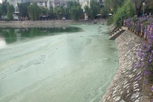 Hà Nội: Hồ Văn Quán tanh hôi váng đầu, người dân đóng cửa "cố thủ"