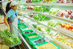 Hà Nội phát triển các chuỗi cung cấp thực phẩm sạch 
