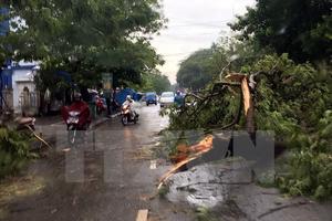 Thừa Thiên-Huế: Mưa lớn kèm lốc xoáy, một phụ nữ mất tích