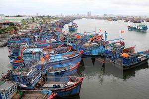 Công tác chuẩn bị ứng phó với bão số 6 phải ở mức cao nhất