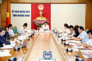 Phản biện về dự án phục hồi môi trường nước Vịnh Hạ Long