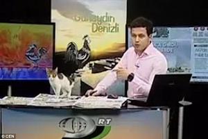 Bản tin thời sự bị gián đoạn vì lý do không thể ngờ