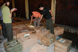 Cứu hộ 61 cá thể tê tê