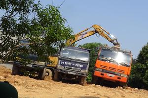 Chủ tịch UBND phường ban hành quyết định cưỡng chế có đúng luật ?	