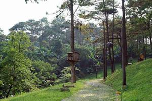 D.A Le Mont Bavi Resort được miễn giấy phép xây dựng