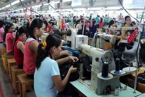 Doanh nghiệp có lãi vẫn cố tình nợ, trốn đóng BHXH