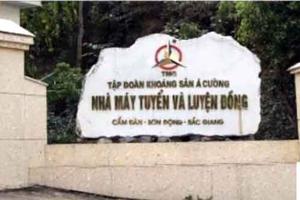 Hàng loạt sai phạm về bảo vệ môi trường