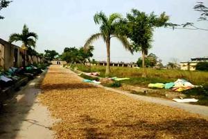 Không khắc phục sai phạm của nhiều kết luận thanh tra