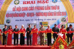 Lễ hội Cam Cao Phong (Hòa Bình): Ngày khai hội thu hơn 600 tấn