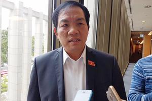 Dừng Dự án Điện hạt nhân Ninh Thuận: ĐBQH nói “Chính phủ dũng cảm”