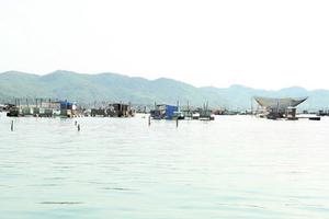 Tôm hùm chết hàng loạt do sốc nước lũ, người nuôi thiệt hại nặng