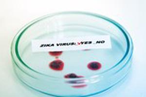 Virus Zika lan rộng 16 quận huyện Sài Gòn