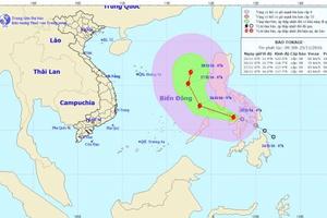 Áp thấp nhiệt đới ở gần biển Đông đã mạnh lên thành bão Tokage