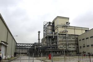 Thanh tra Chính phủ: Đề nghị Bộ Công an điều tra dự án xơ sợi Đình Vũ