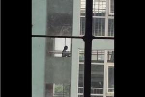 Trẻ lệch lạc giới tính: Thiếu sót từ nhà trường