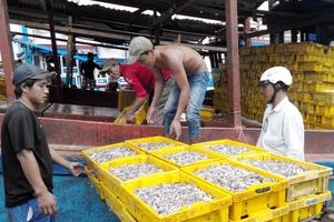 Xử  nghiêm việc đưa tin thiếu trung thực về chất lượng nước mắm 