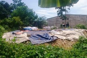 Công ty Ánh Dương bị phạt hơn 993 triệu đồng