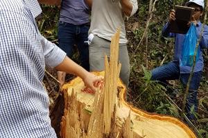 Nhiều cán bộ và đơn vị liên quan bị kỷ luật Đảng
