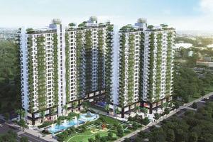 Thế lực mới của thị trường địa ốc