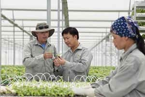 Vingroup ký thỏa thuận hợp tác với 250 hợp tác xã và hộ sản xuất