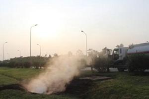 Hà Nội: Công an vào cuộc điều tra nguyên nhân cháy cây cảnh, thảm cỏ