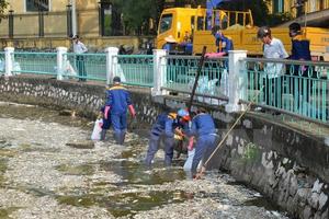 Hà Nội công bố 4 nguyên nhân gây ra hiện tượng cá chết hàng loạt