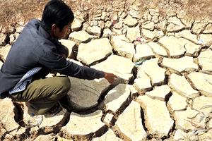 Thời tiết bất thường trong năm 2016