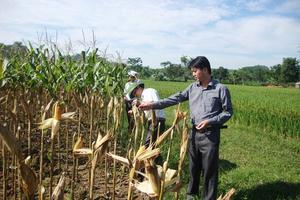 Thu hút đầu tư vào nông nghiệp: Cần tạo chính sách đột phá