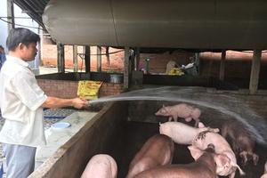Ngành nông nghiệp sẽ sử dụng tem để truy xuất nguồn gốc thực phẩm?