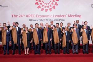 Tuần lễ cấp cao APEC 2017