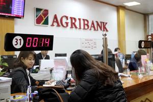 Agribank: Tạo nền tảng vững chắc cho giai đoạn phát triển mới