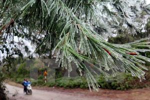 Bắc Bộ và Bắc Trung Bộ tiếp tục mưa rét, vùng núi rét đậm