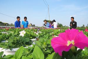 Đồng Tháp: Tiềm năng du lịch đang được đánh thức