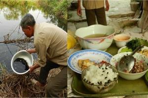 Chủ tịch TX Sơn Tây bị tố cáo vì thiếu trách nhiệm?